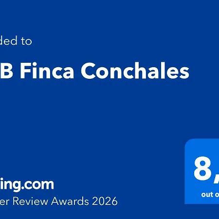 Conchales Bed & Breakfast Torrox